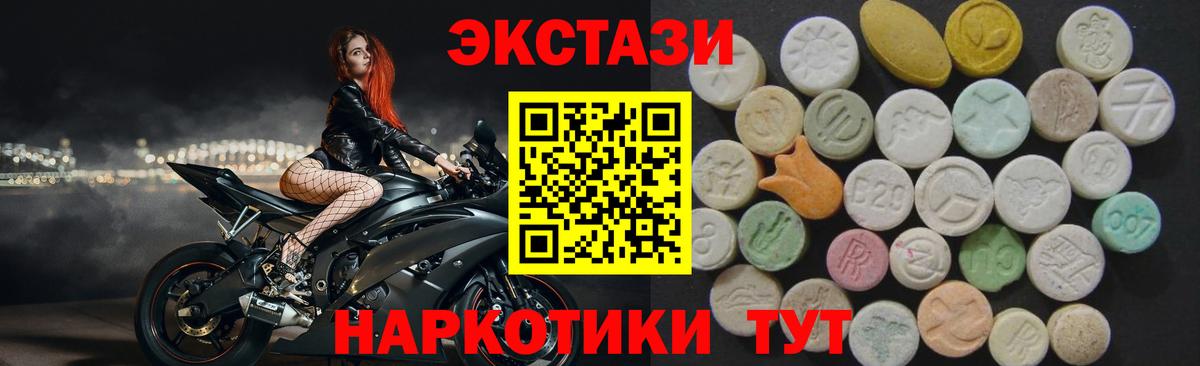 ЭКСТАЗИ бентли Гусев