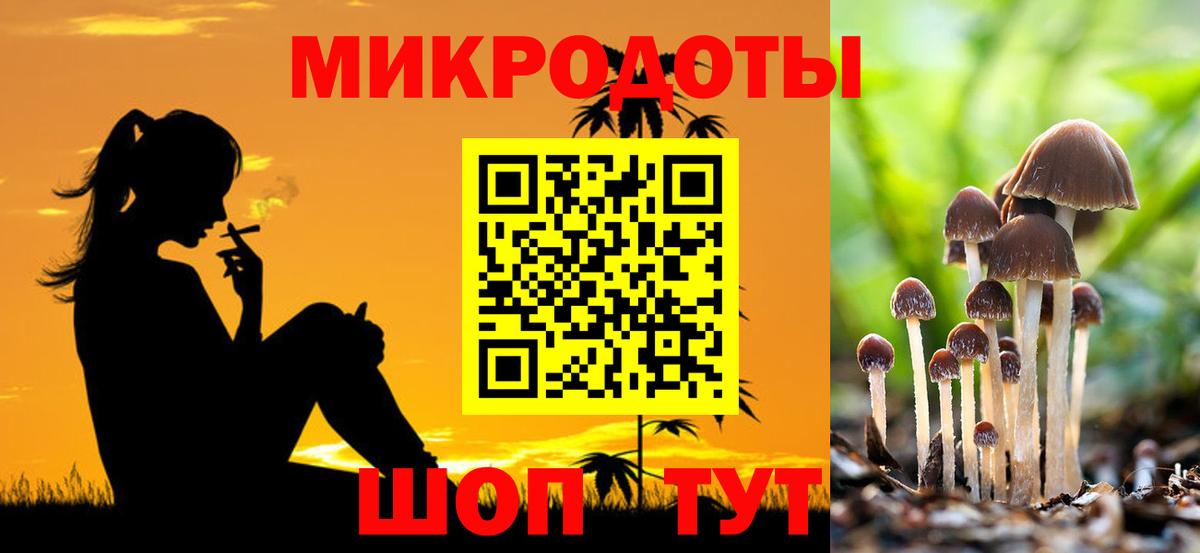 Псилоцибиновые грибы Psilocybine cubensis  Вход с VPN  Гусев 